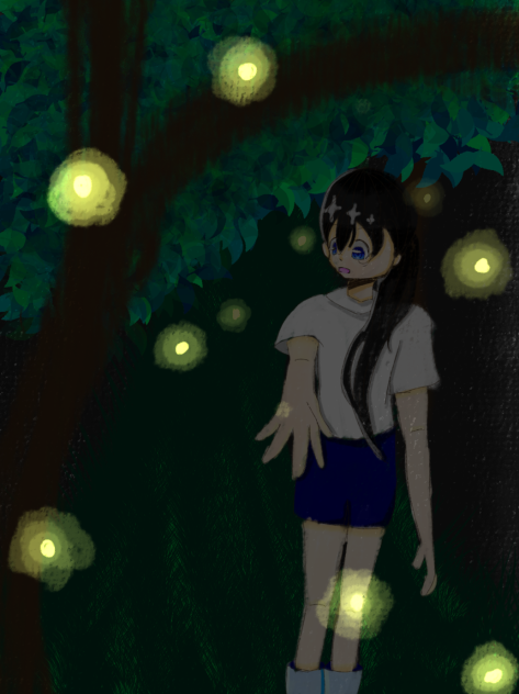 ホタルの森