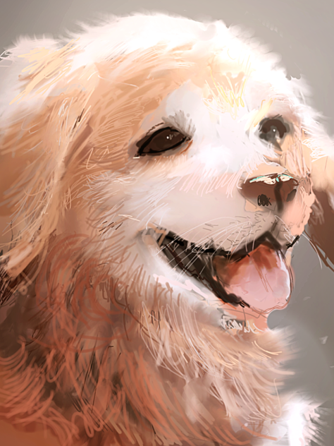 doggo