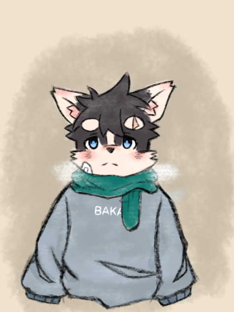 Furry ༎ຶ‿༎ຶ