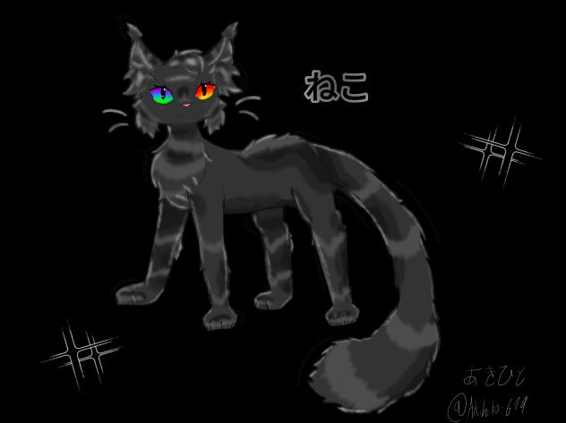 猫