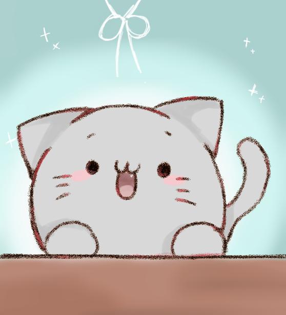 🩵🐱
