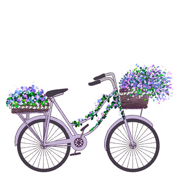Lavender Bicycle