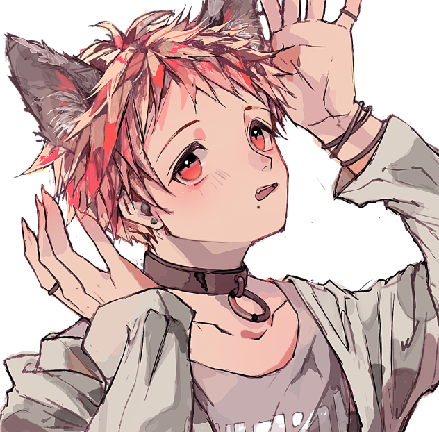 猫耳 短髪タレ目
