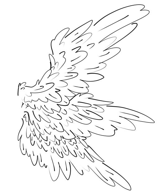 wings #8