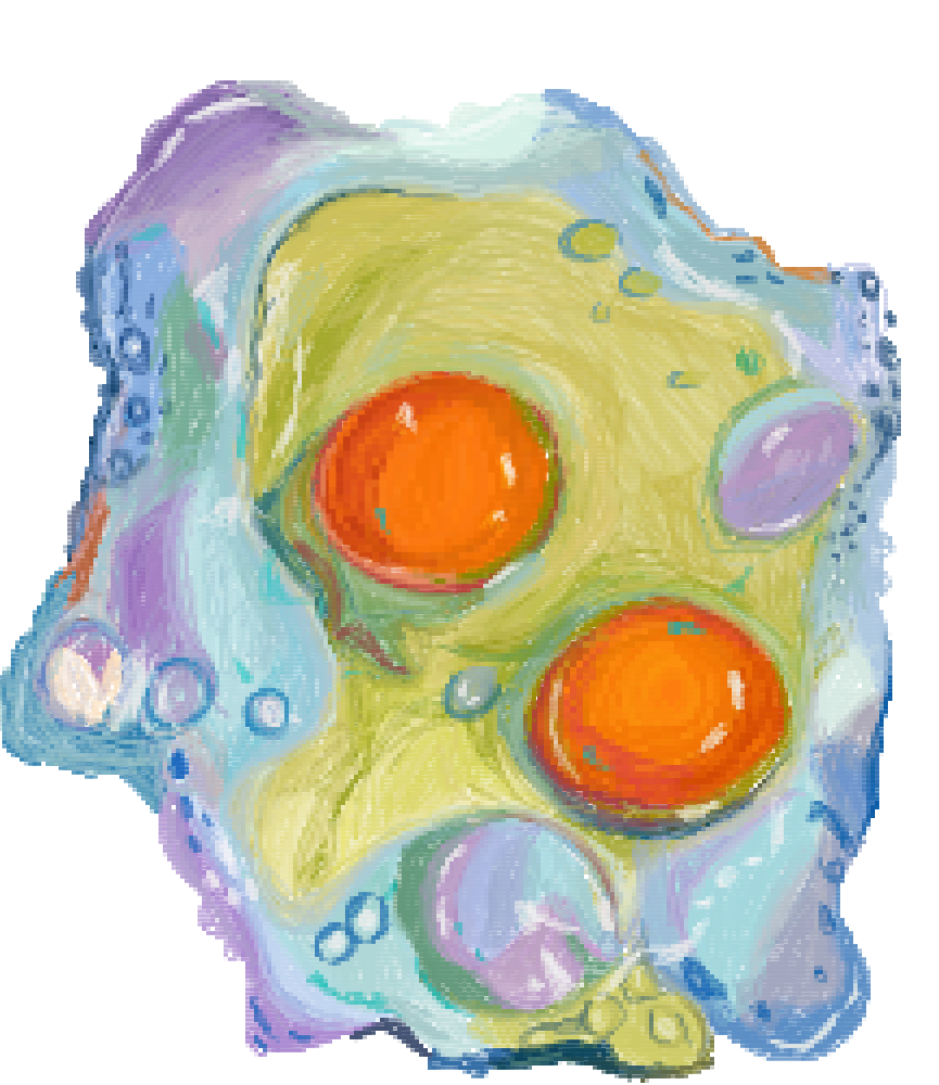 Beautiful egg 🍳 - ibisPaint