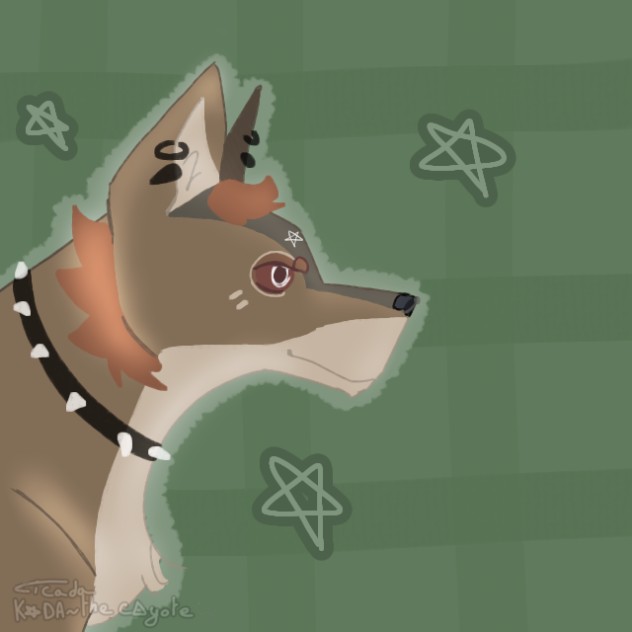 cicada 𓆦 K𖤐DA the coyote 𓃥٭ animation
