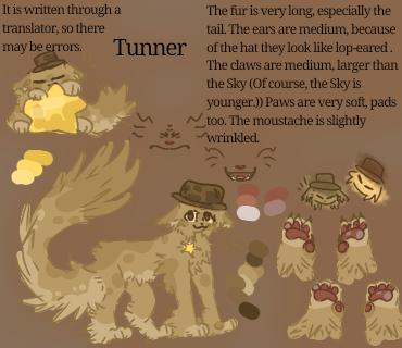 Tunner Sprunki Kitty F AU (my)ref