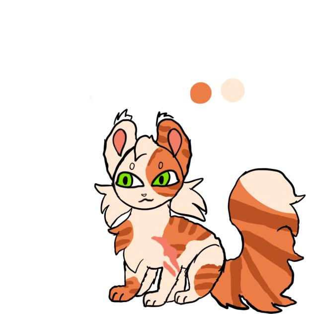 Pause oc cat