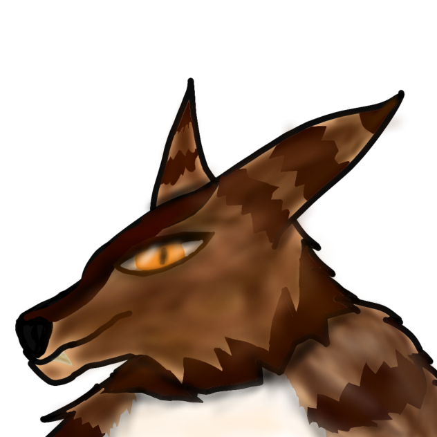 more shading practice..