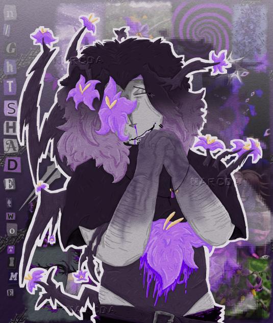 🗡️ ɴɪɢʜᴛꜱʜᴀᴅᴇ ᴛᴡᴏ ᴛɪᴍᴇ 🪻