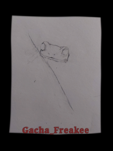 Working On A Froggo Drawin!