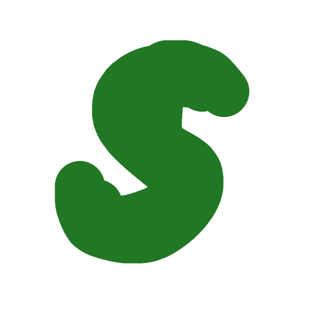 S asset