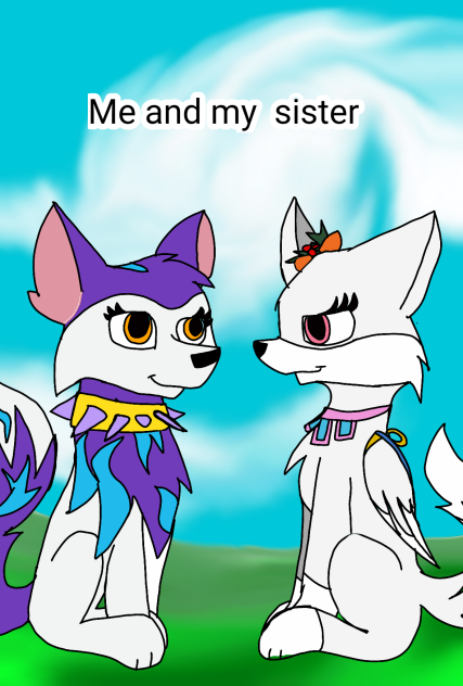 Me and my sister- Animal jam play wild