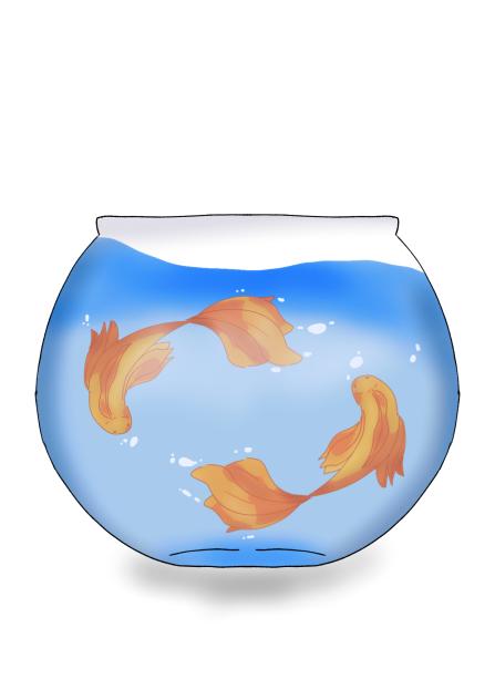 gold fish - ibisPaint
