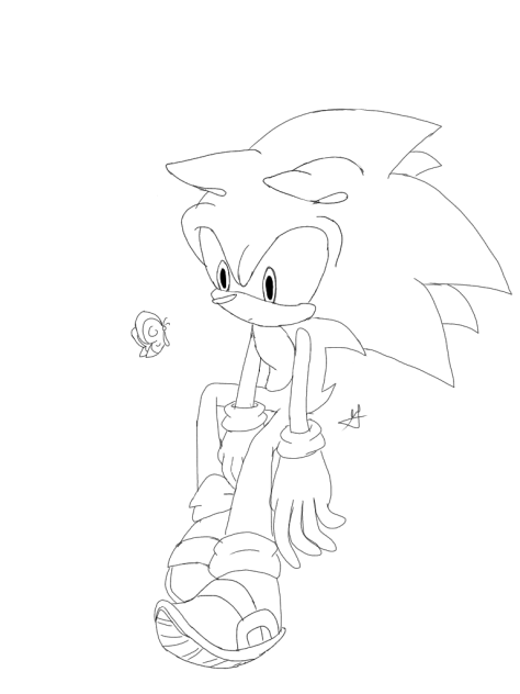 sonic and butterfly