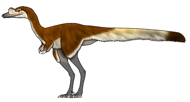 Jaculinykus yaruui render
