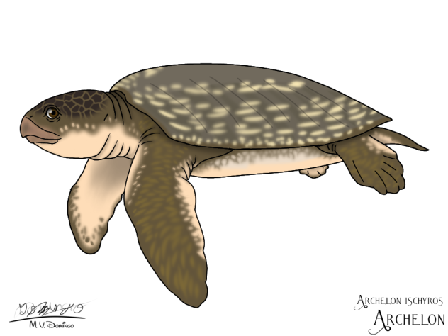 Archelon ischyros - Revampization