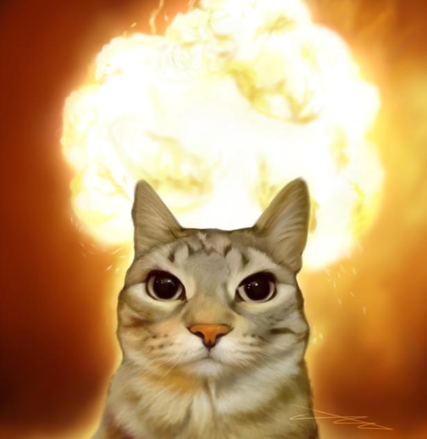 💥😺