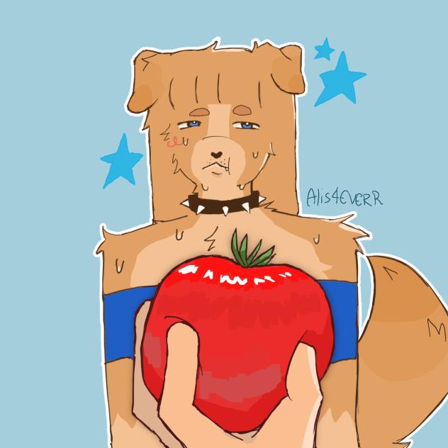 tomato