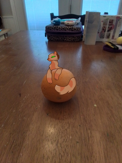 drawing things on irl pictures