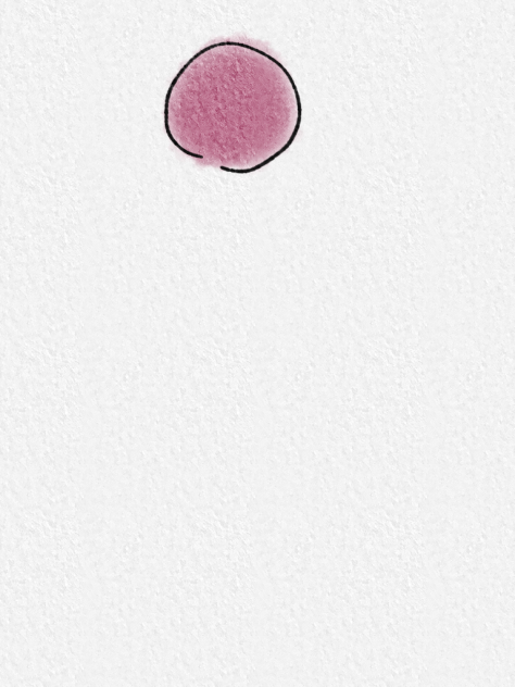 animation test