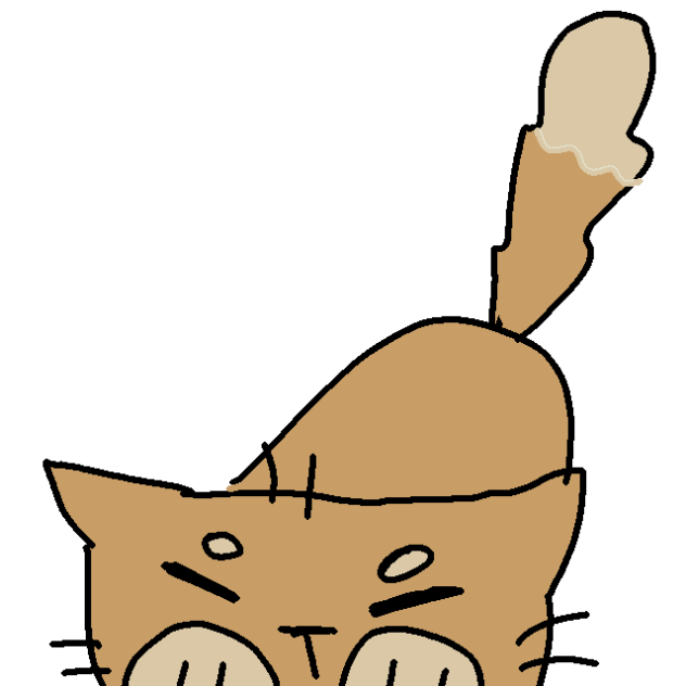 cat animation 😺