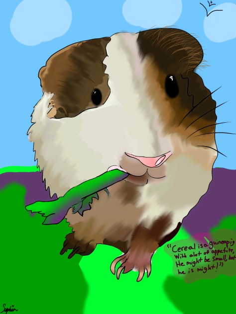 My Guinea pig ❤️
