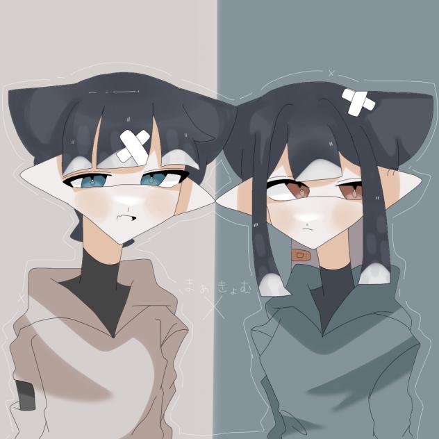 まあきょむ