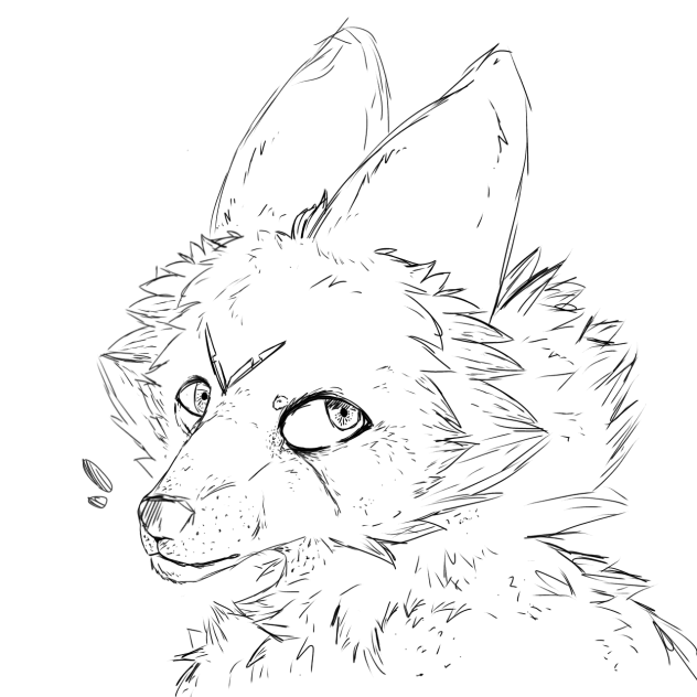 Realistic wolf sketch•. In my style.