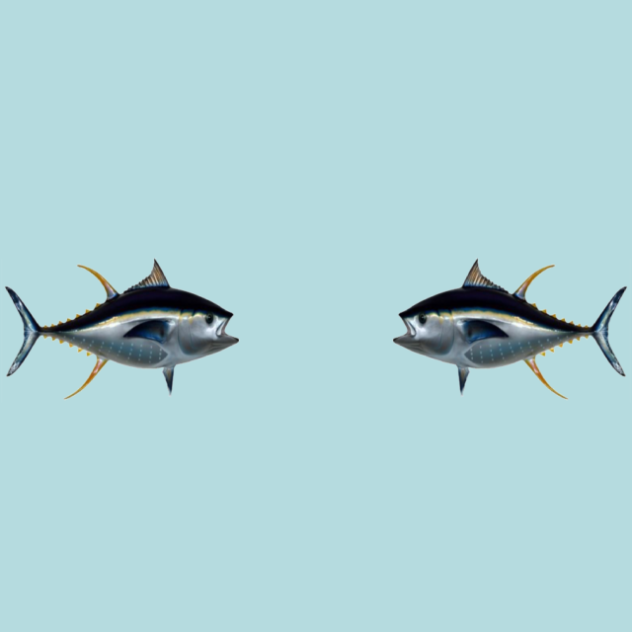 “Tuna Fish”