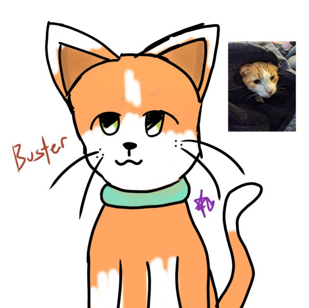 My cat ☆