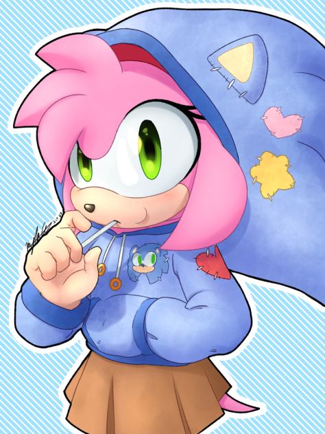 Sonic Hoodie
