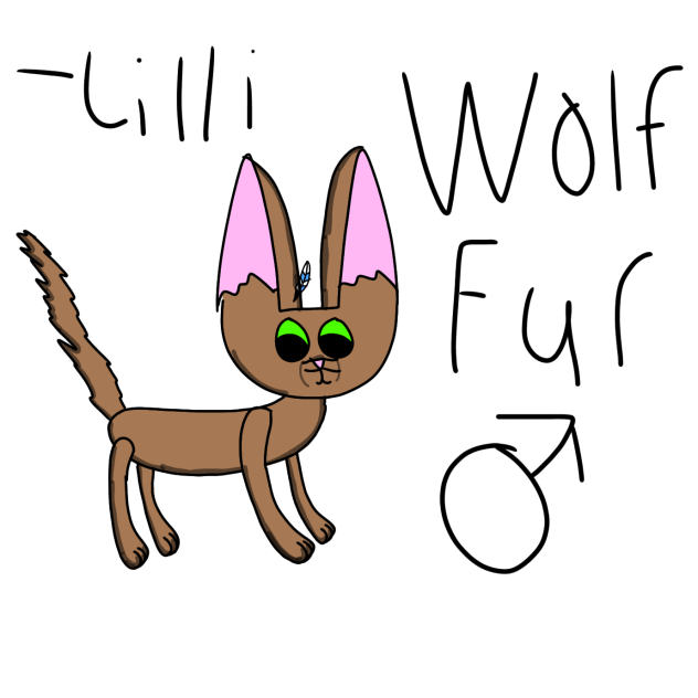 Rise of the cats l Wolf Fur