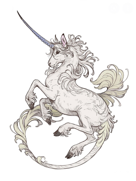 Unicorns ✨