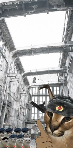 wallpaper wwII CAT