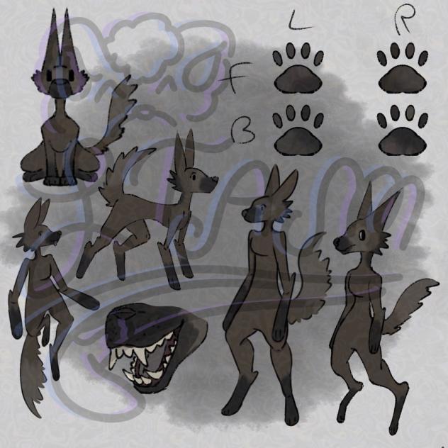 Maned wolf