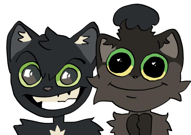 My cats