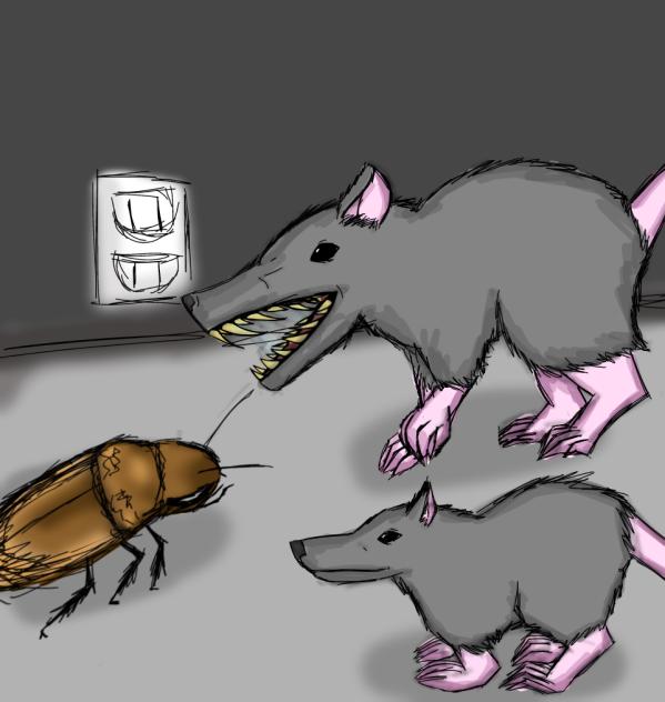 Rats vs roach