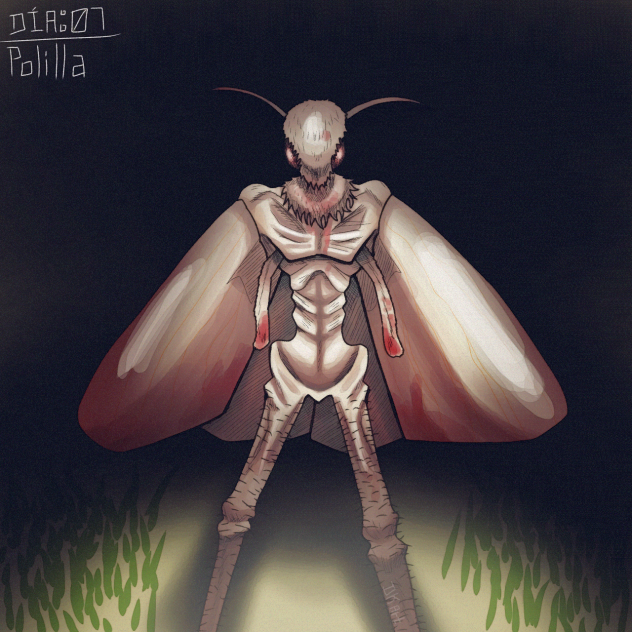 Polilla