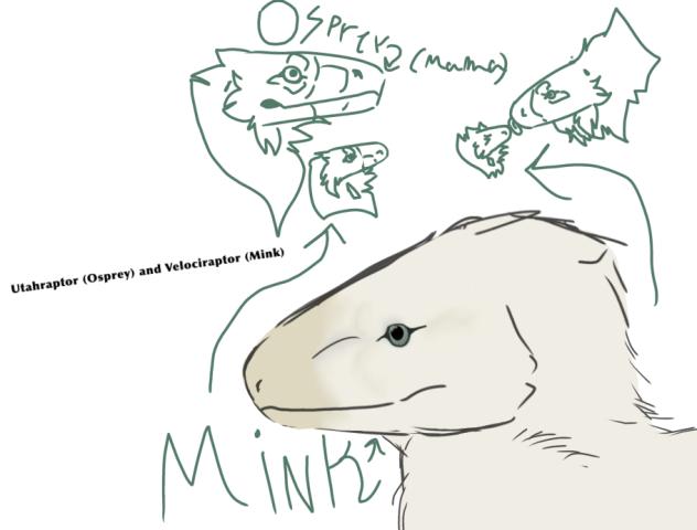 Two lab raptor OCs ; Mink and Osprey