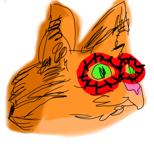 Spooder-cat