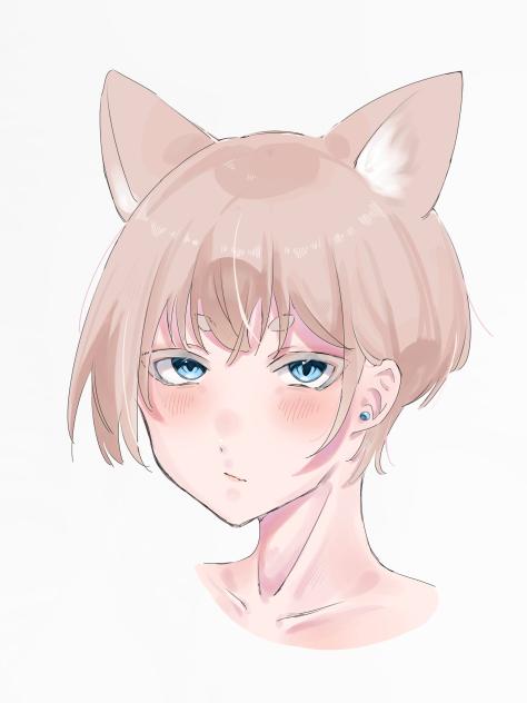 🦊💙