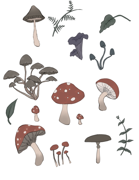mushyrooms-ibispaint
