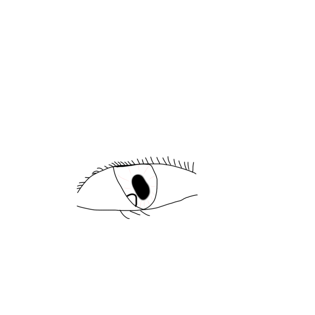 Eye