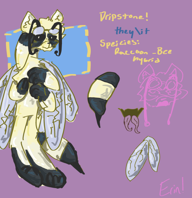 Dripstone the Raccoon-Bee!