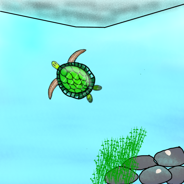 Turtle