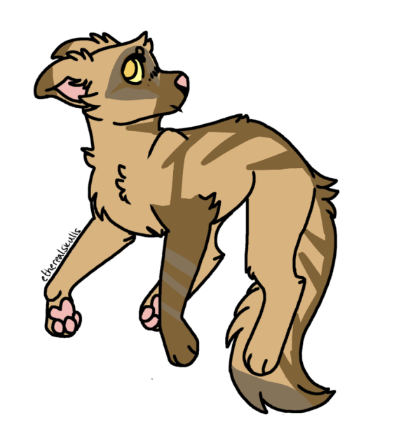 FB Adopt 1