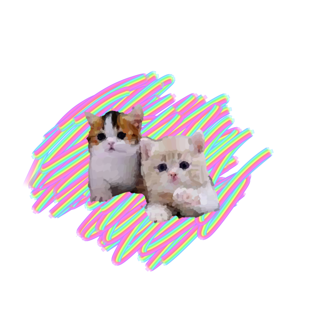 Cute 2 Kittys