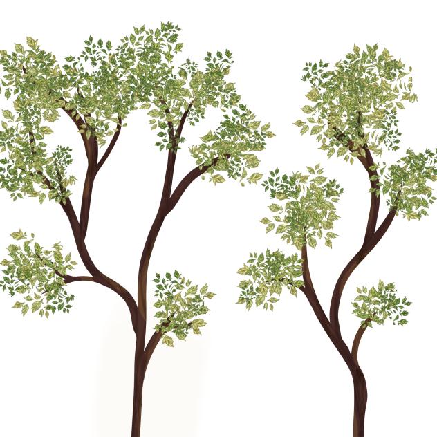 Trees - ibisPaint
