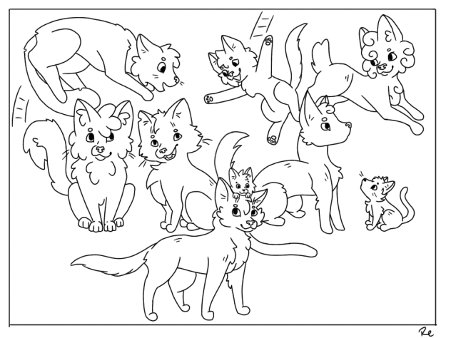 Cat collab